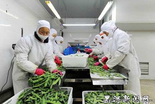 安徽芜湖市蔬菜价格微幅下降（图）