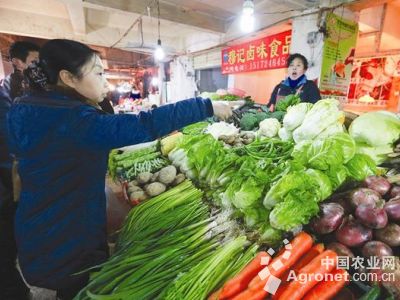 中华韭霸韭菜种子价格