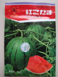 供应红小玉西瓜—西瓜种子