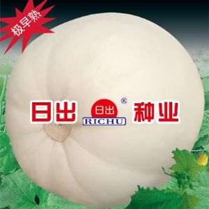 供应日出极早先锋——甜瓜种子